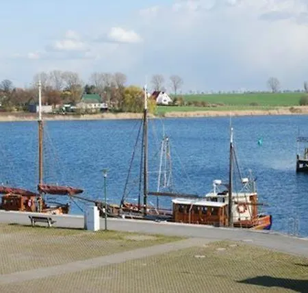 Blume * Kirchdorf (Poel)